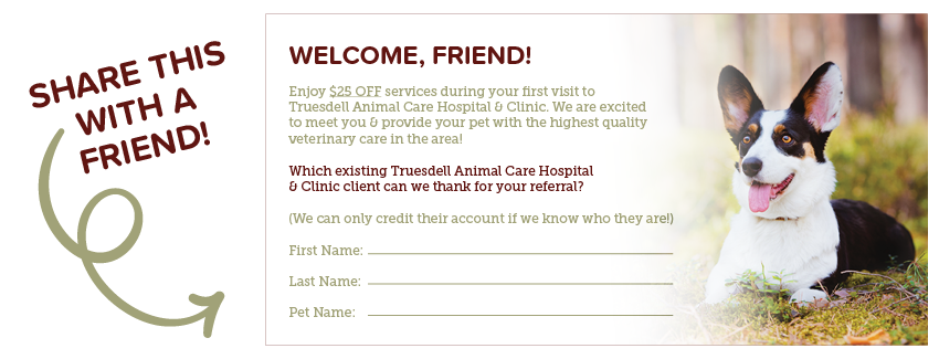 Refer-a-Friend Program | Truesdell Animal Care Hospital and Clinic